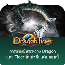 เล่นสล็อต Dragon Tiger